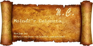 Molnár Celeszta névjegykártya